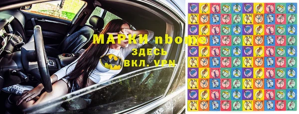 Альфа ПВП Аркадак