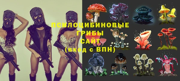 первитин Арсеньев