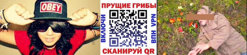 Псилоцибиновые грибы GOLDEN TEACHER  купить наркотики сайты  Спас-Клепики 